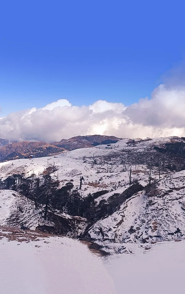 Sandakphu Trek